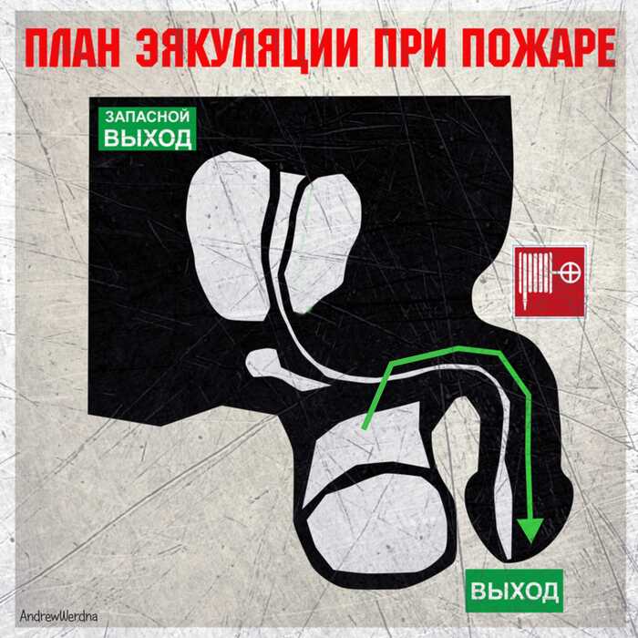 ���� �����