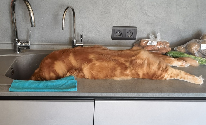 С похмелья - вся вода артезианская!