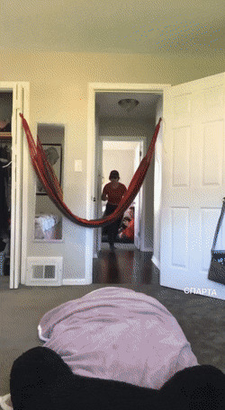          , , , 