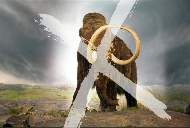 15 000 000 ������ !