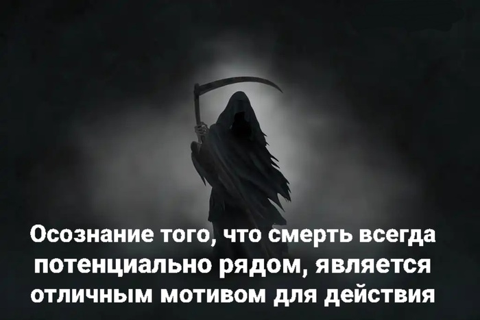 Беги Форест, беги!