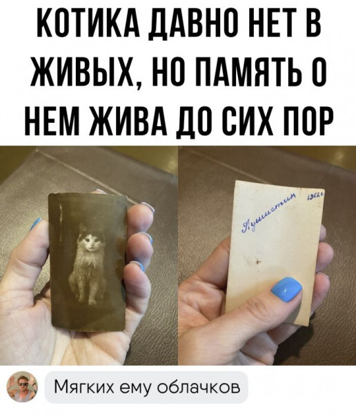    , , , , 