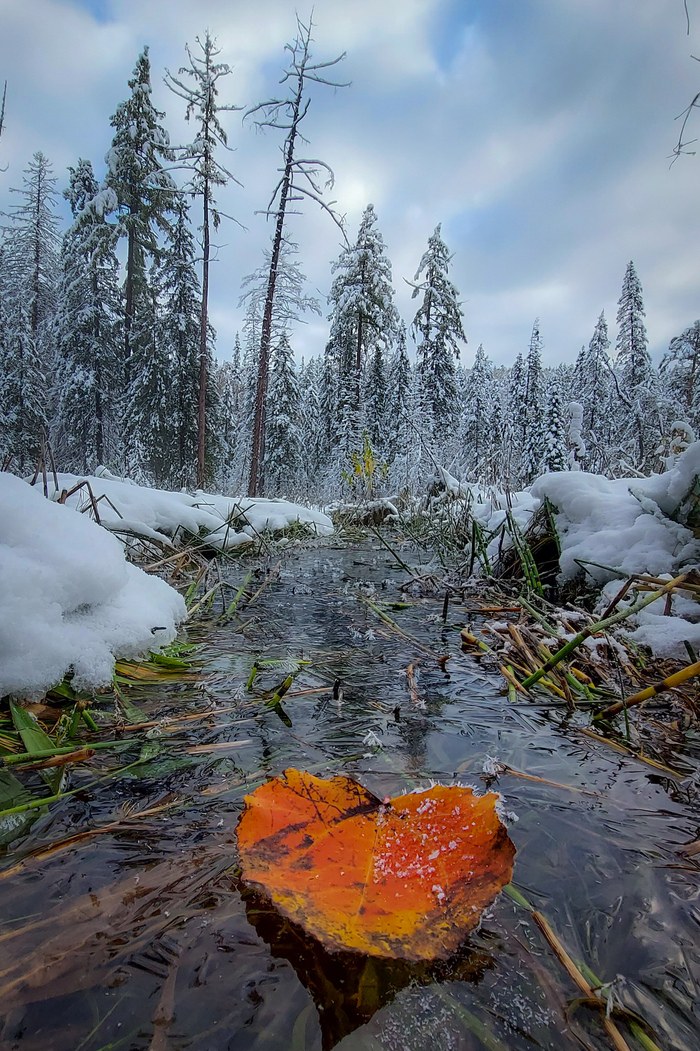 Кусочек осени