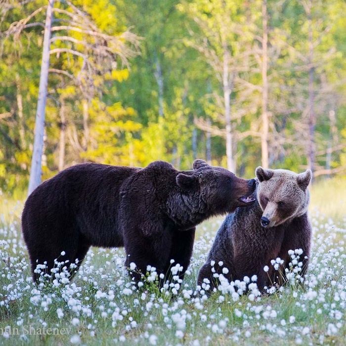 Пойдём со мной. Что-то интересное покажу