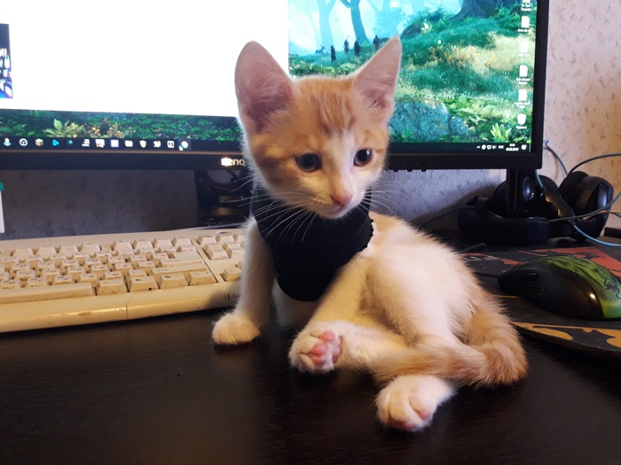 �������