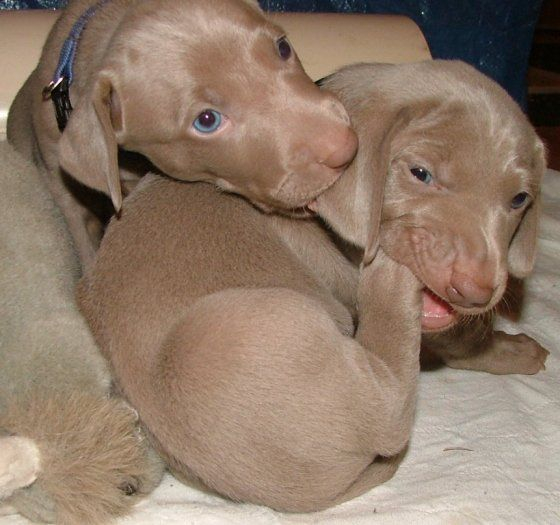 ������ � ������ ����!