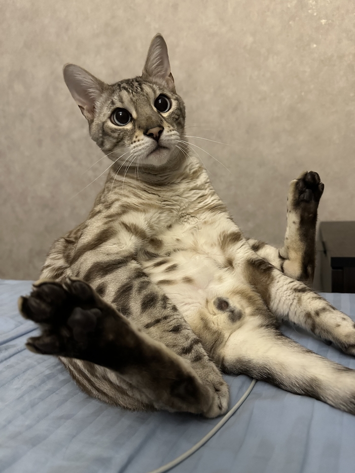 �����-����������