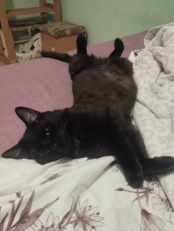     , ,  ,  ,  ,  , , 