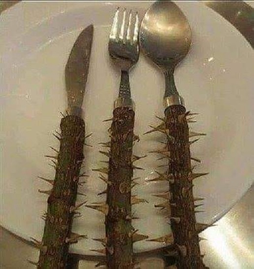 ����� ��� ���������