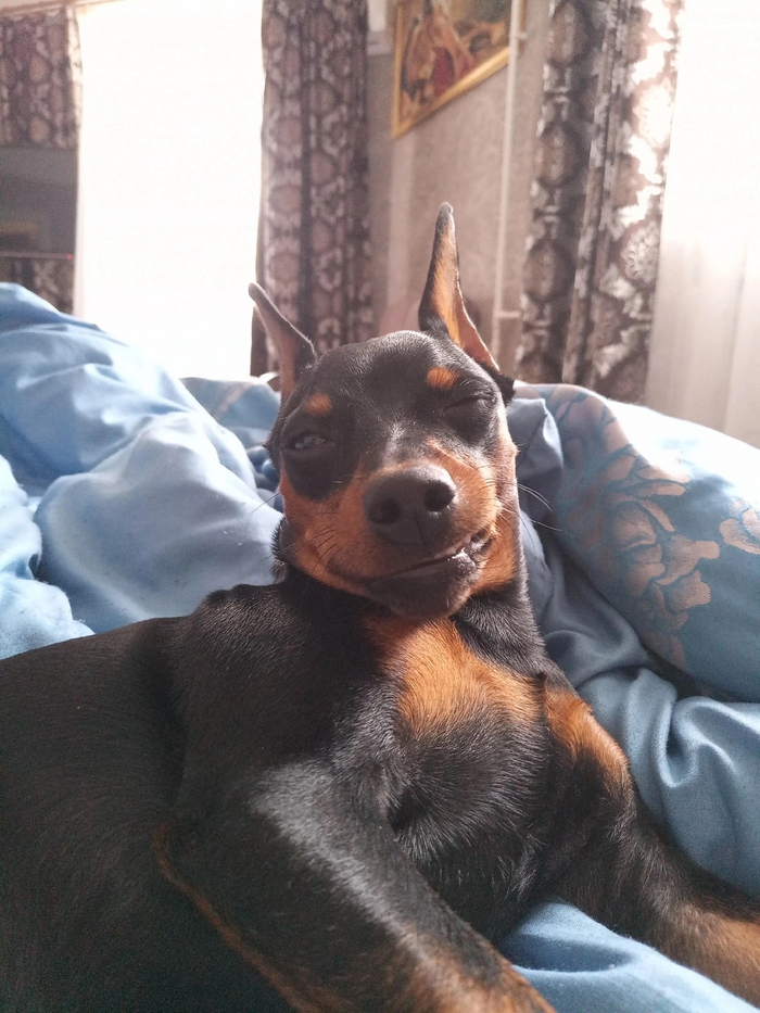 Снуп Догги Дог