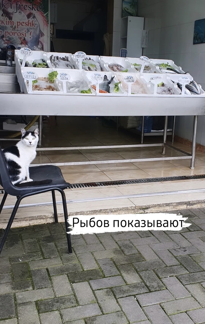   , ,   ?,   