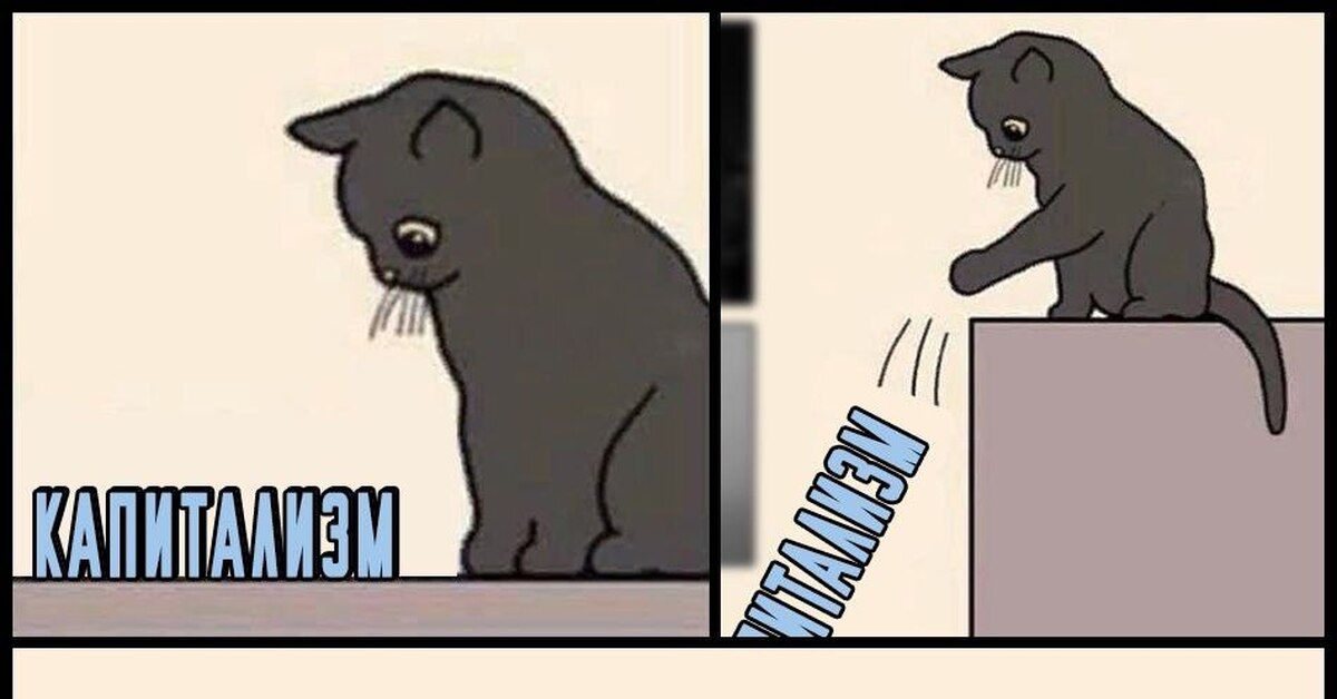 Мем коты все уронили. Мем с котом смекалистым. Кошка мем. Мем коты все уронили. Мем коты все уронили.