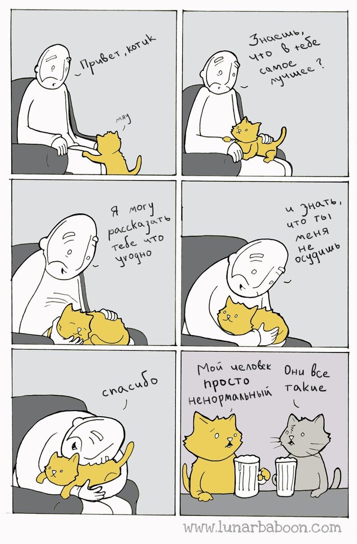   , , , , Lunarbaboon, 