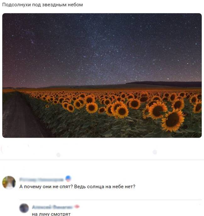     ... , , ,  , , , 