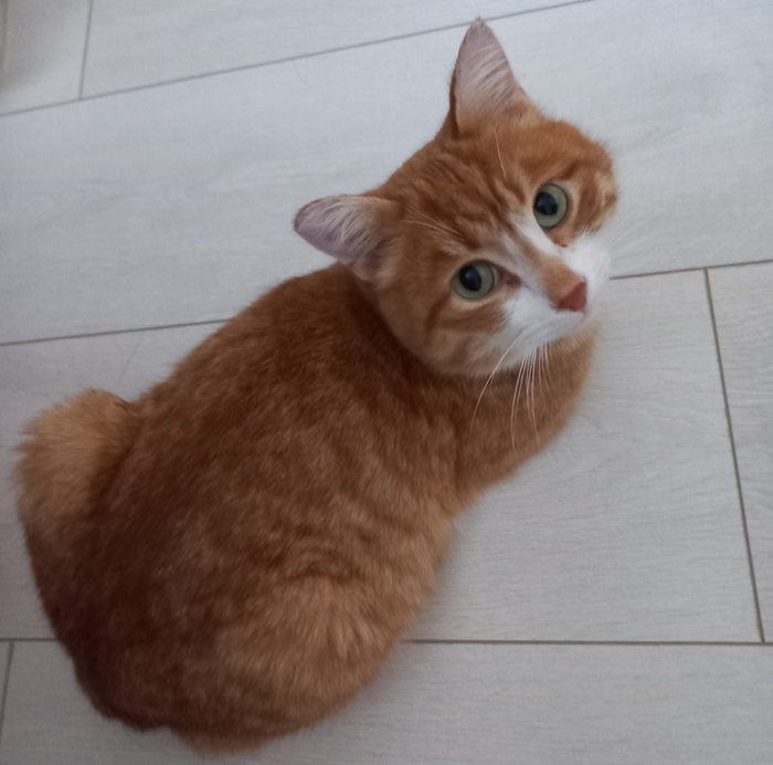 ����������� ����� ���� ����� ��������