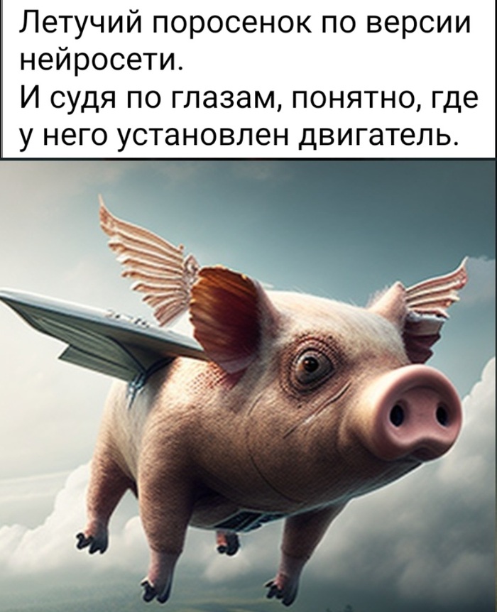   ,   , , 
