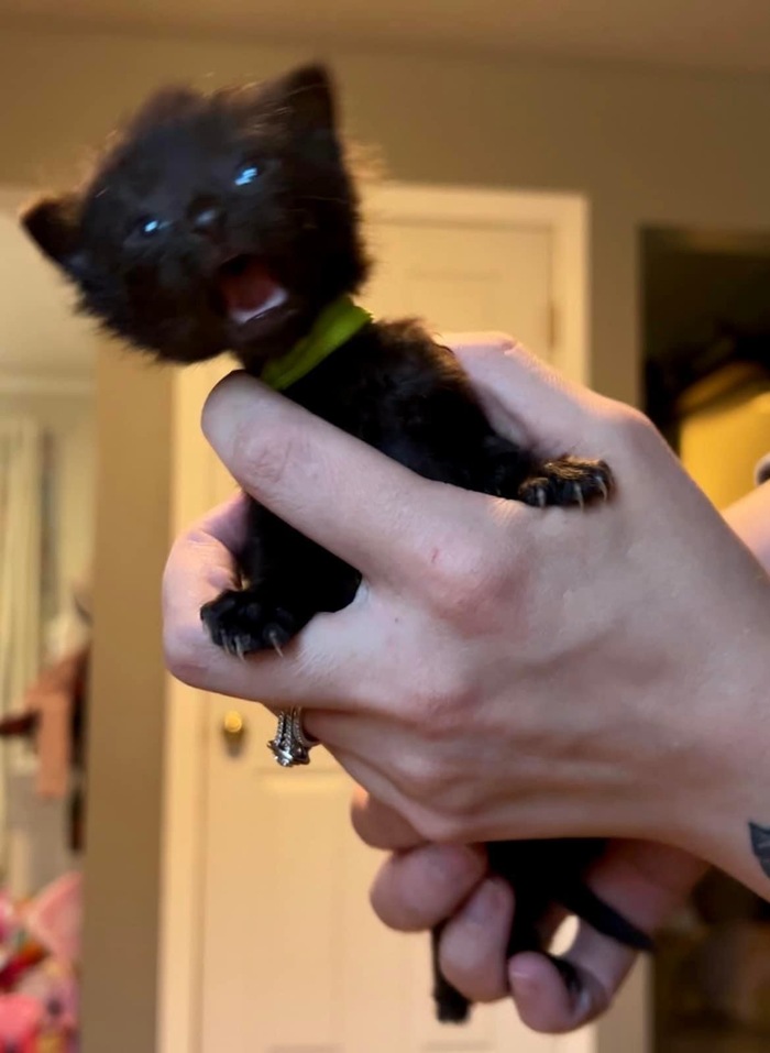 � ����!! ����� ����!