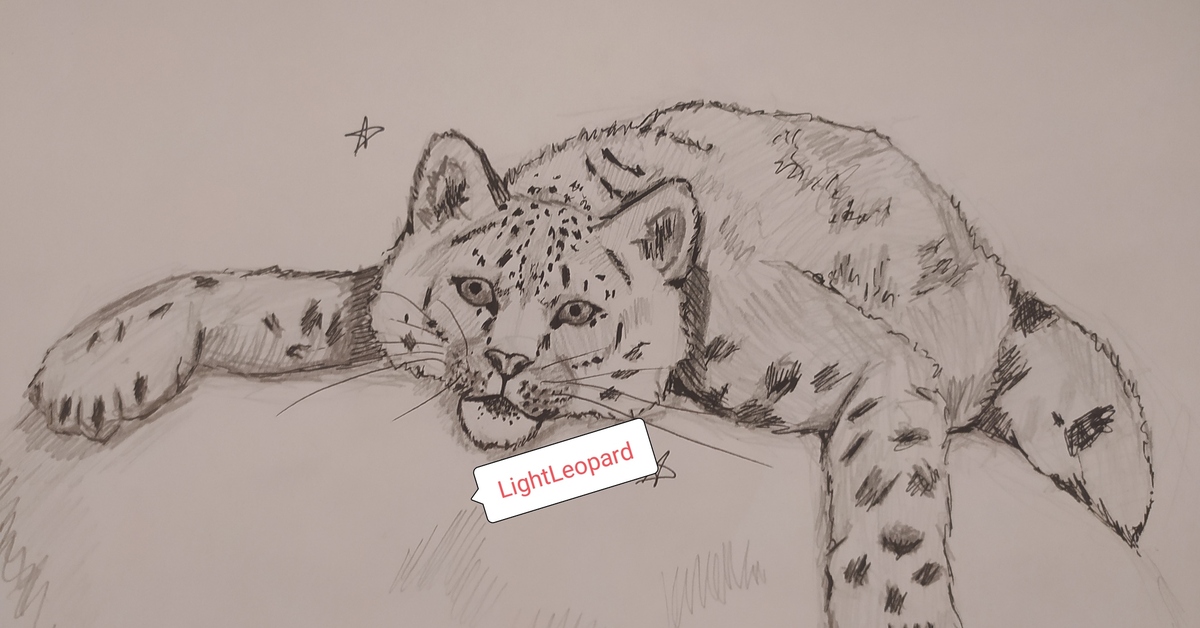 Рисунок снежного барса