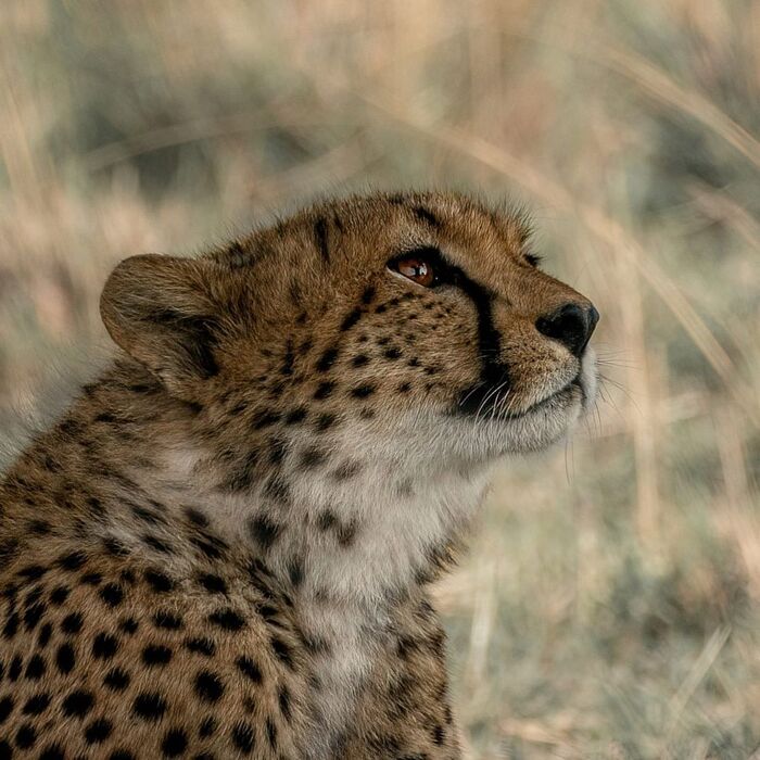 В задумчивости