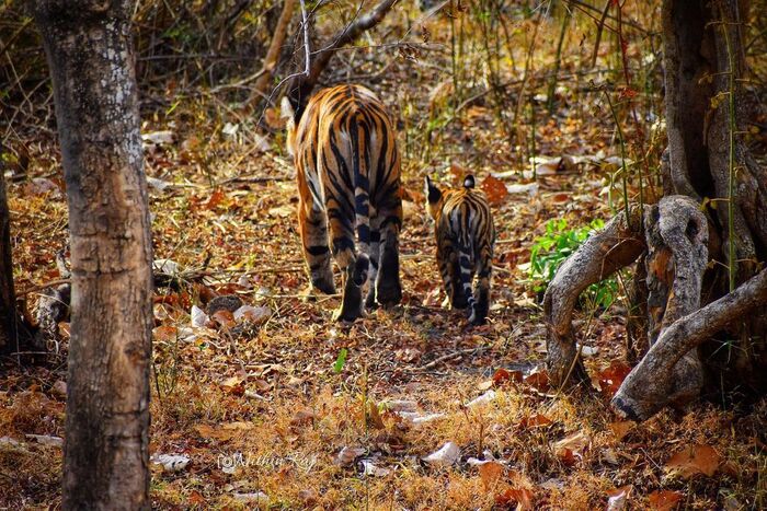 Фото на прощание