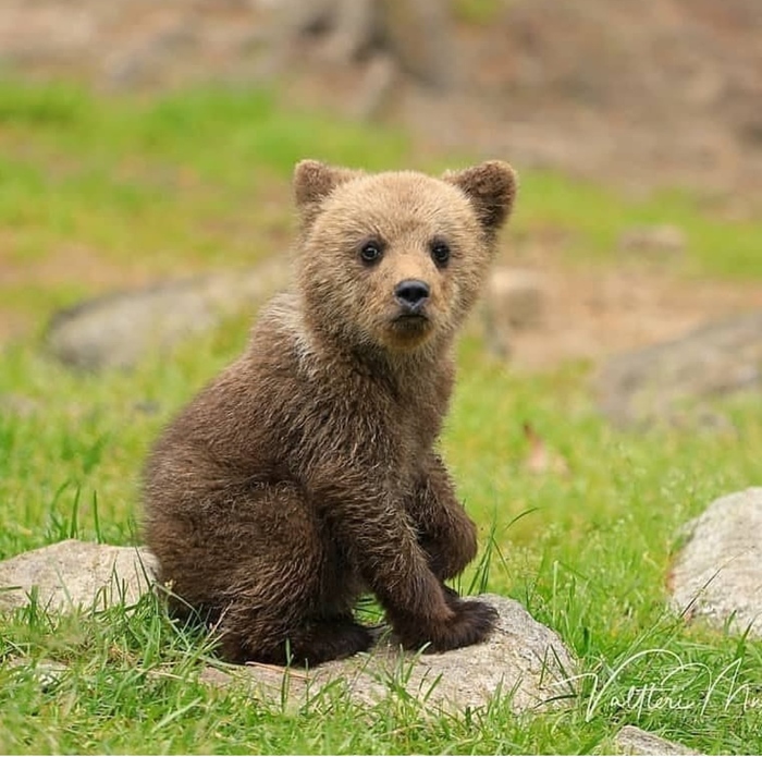 Милый малыш