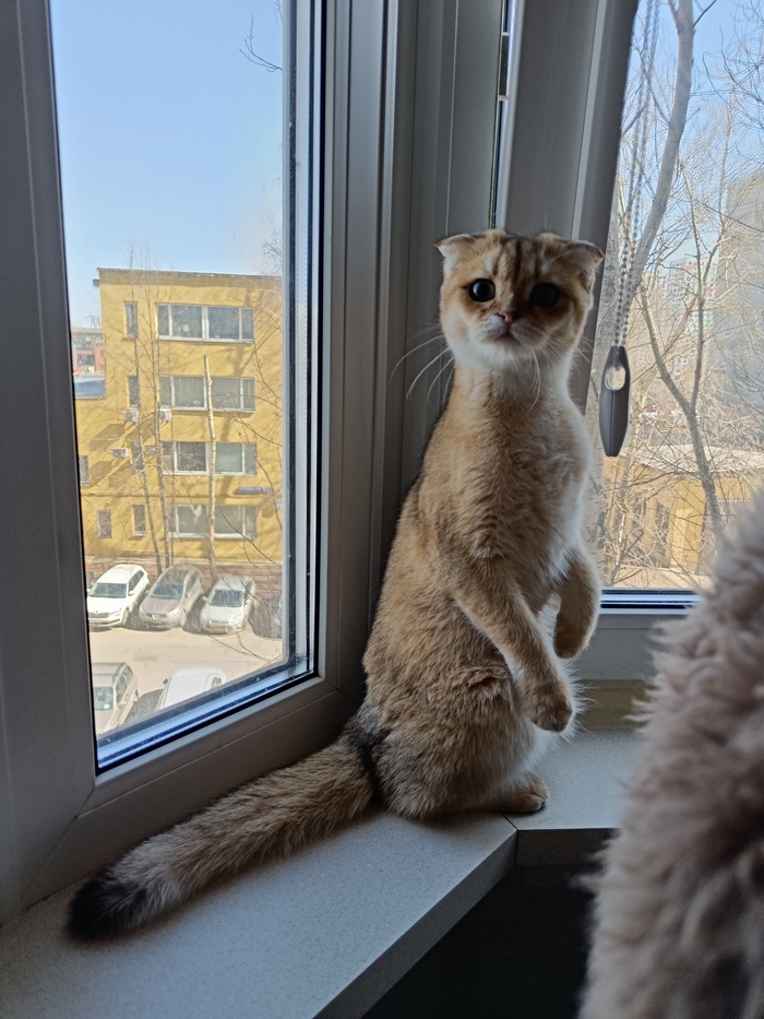  , ,  , 