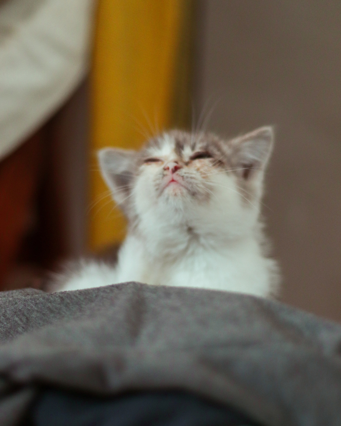 ��� ������ ����������, �������� ����� ������ � ������? ��� ����� ��� ��������� )