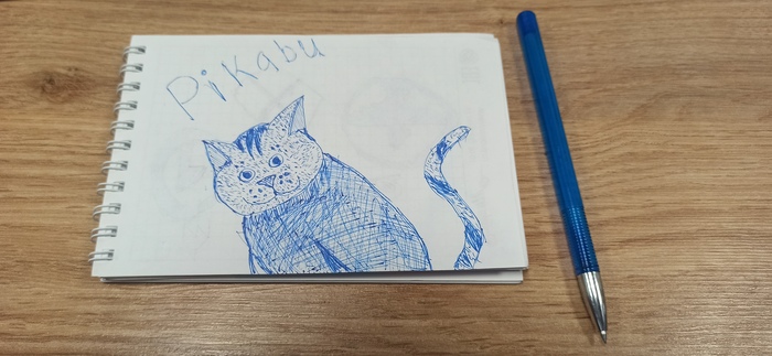 Котика в ленту