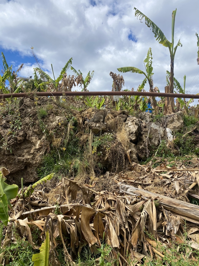 ����� ��������� ����