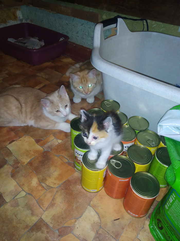 ��� ����� ���� � ����?