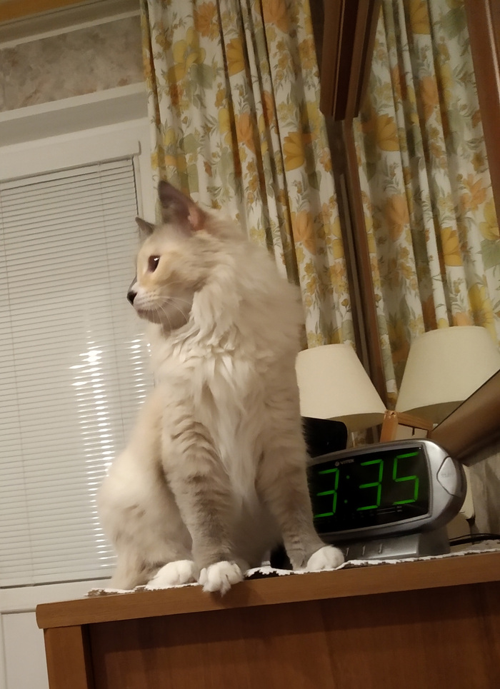 ���������