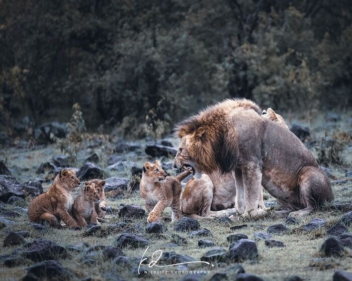 Отец занялся воспитанием