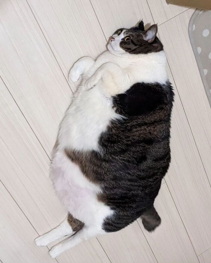   , 