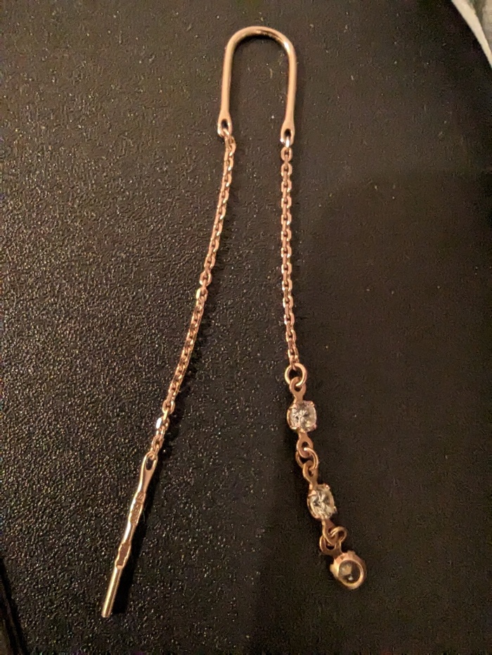 Утеряна сережка СПб Бюро находок, Сереженька, Потеря