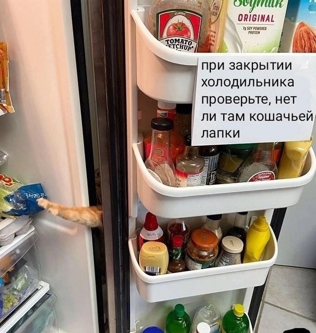 16808684331410424.jpg