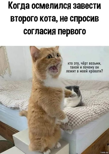  ,   , 