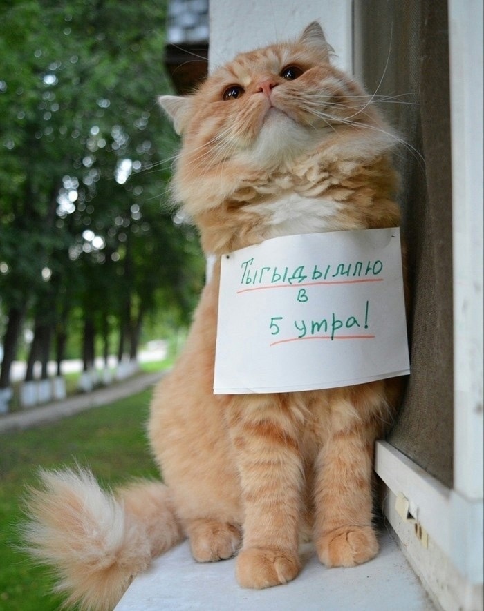 � o� ����� ���� ����