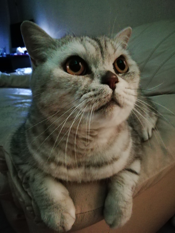 Вопрос культурологам!