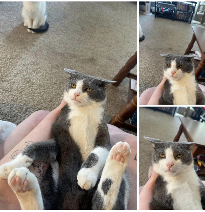 �� � ����� �� ���� �������?