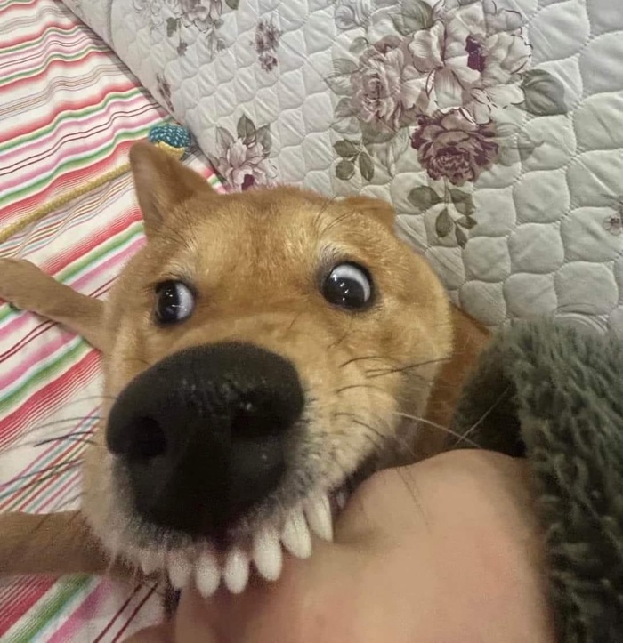      , 