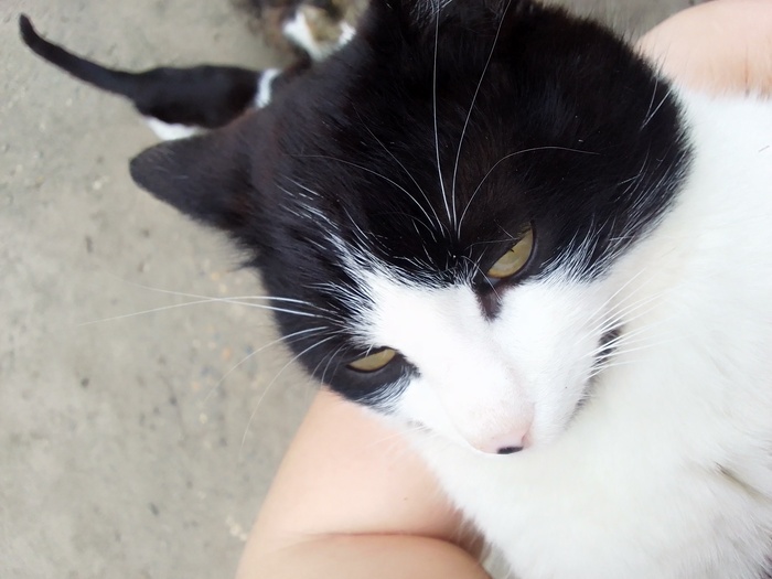 ���-��������������)))