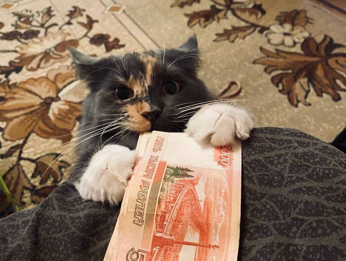 ������ ���� � ���� ��������