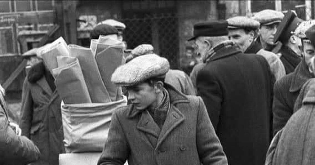 На птичьем рынке | Пикабу