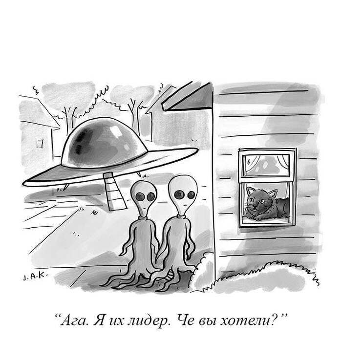    , The New Yorker, , 
