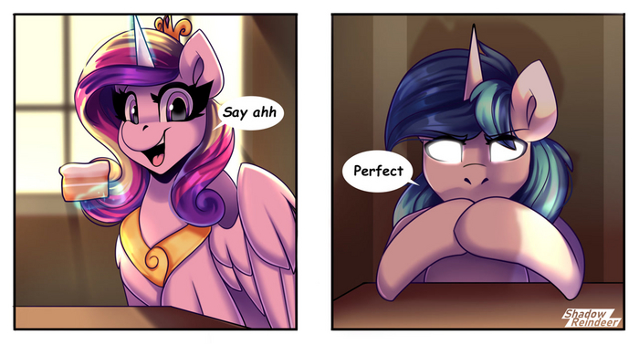 Cadance and Shiny (Perfect wife) My Little Pony, Princess Cadance, Shining Armor, Shadowreindeer