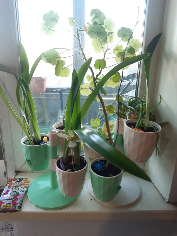 Вот такую красоту навела на своем подоконнике)))