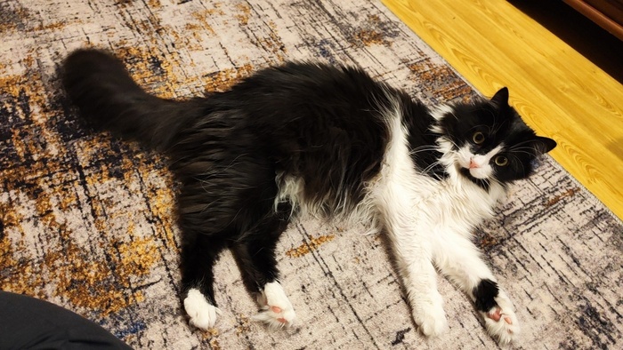 Доброго времени суток, Пикабу!