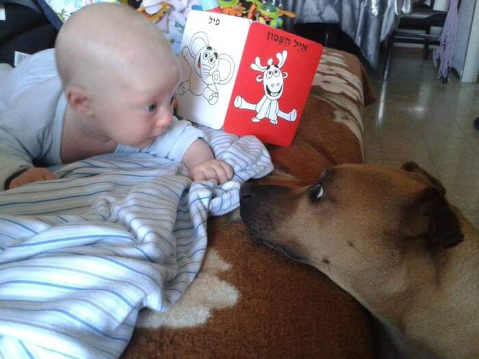 Ответ на пост «Предательство...»