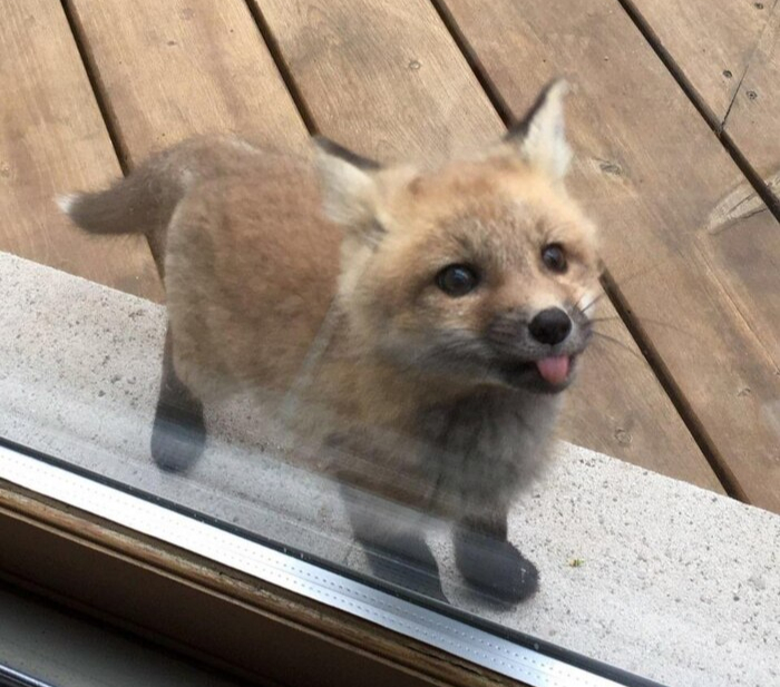 �������� ������ ����!