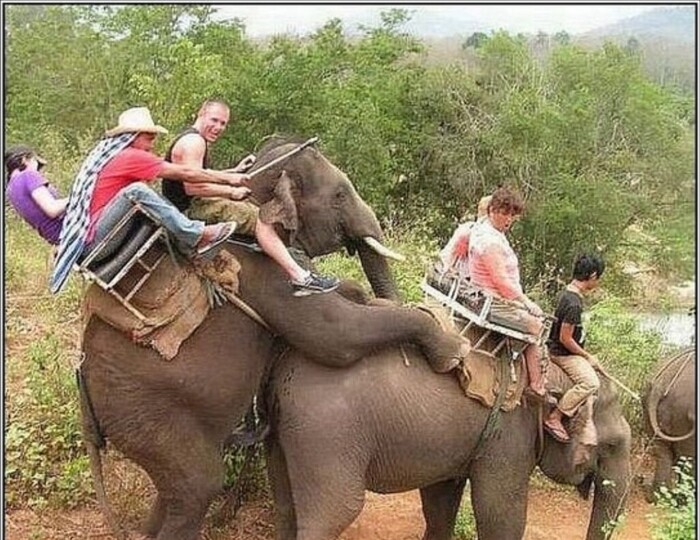 ���� �������